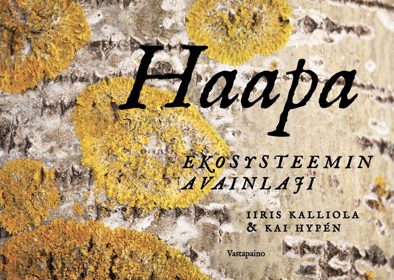Haapa On Mets n Unohdettu Avainlaji Arviossa Iiris Kalliolan Ja Kai Haapa On Mets n Unohdettu Avainlaji Arviossa Iiris Kalliolan Ja Kai