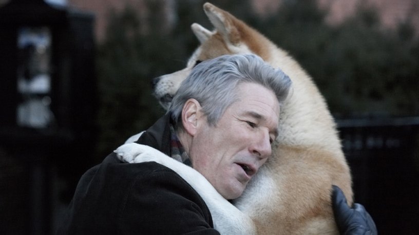 hachi a dogs tale richard gere 816x459 1