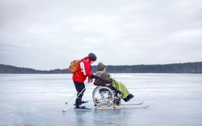 Galleriakatsaus: Taide käsittelee perheen surua, luontokatosurua ja sodan kollektiivista surua