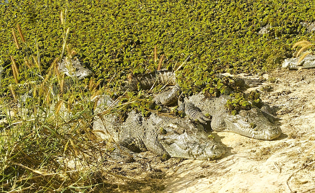 levoton tuhkimo by hanna maria gronlund kulttuuritoimitus INSTA levoton tuhkimo by hanna maria gronlund kulttuuritoimitus INSTA