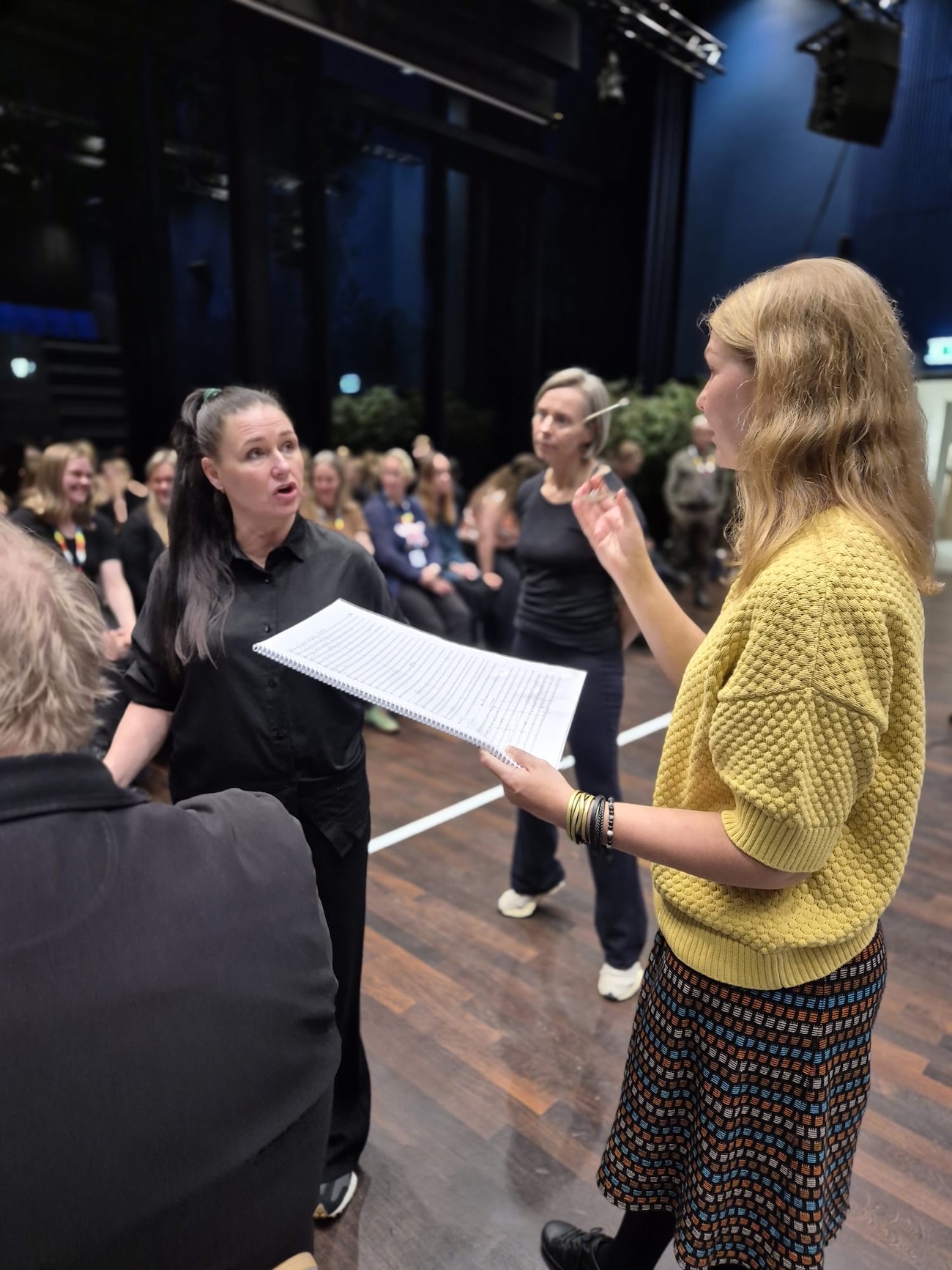 kuva 3 Naisen aani kuva Hanna Kilpinen