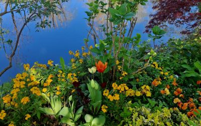 Parasta juuri nyt: Ranska-spesiaali!