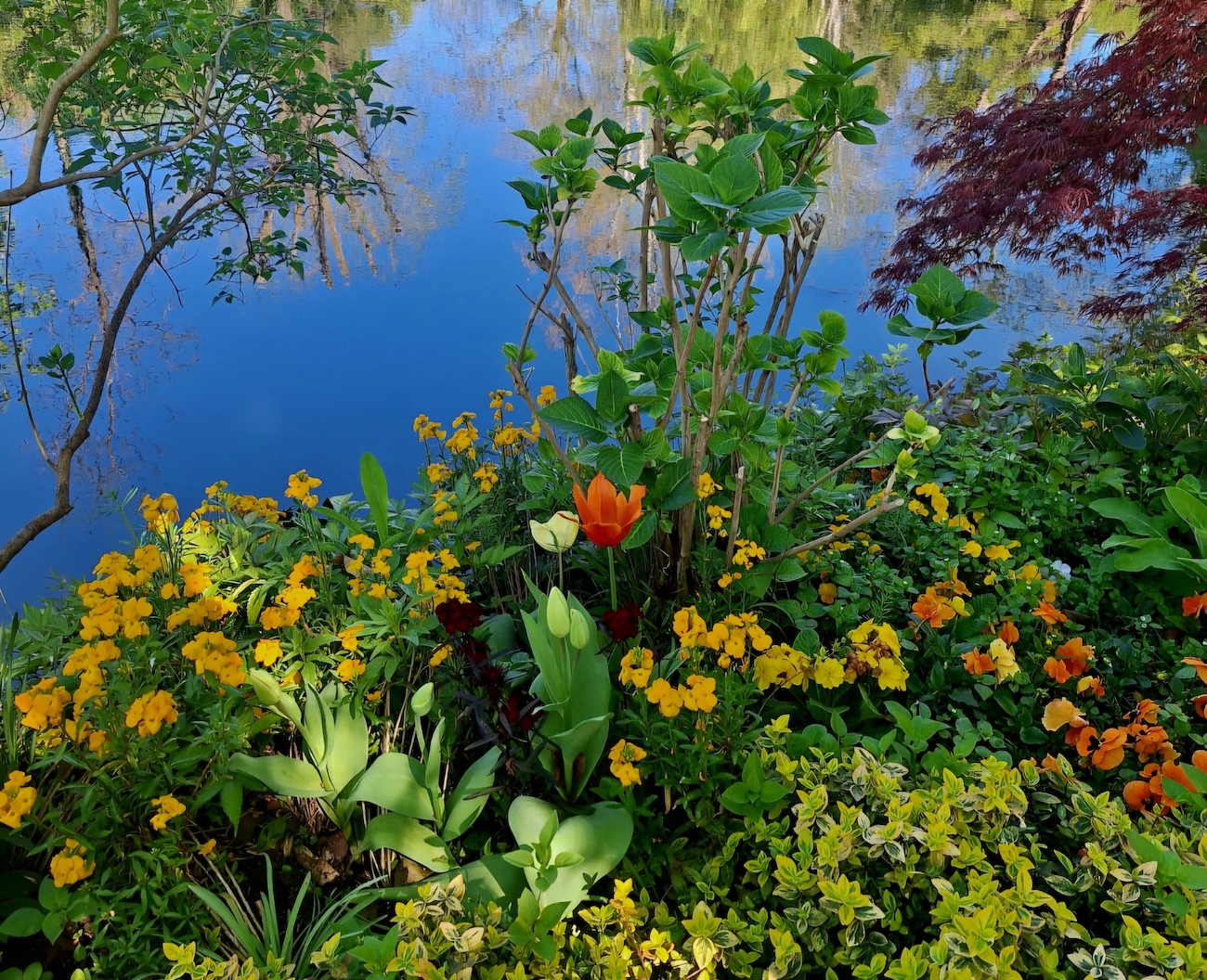 levoton tuhkimo by hanna maria gronlund kulttuuritoimitus INSTA