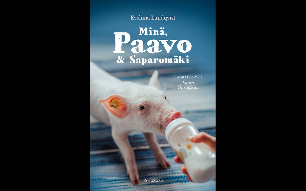 levoton tuhkimo by hanna maria gronlund kulttuuritoimitus INSTA