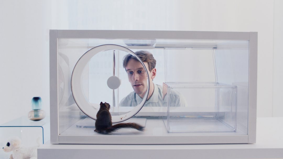 orava still5 photo max smeds bufo2025