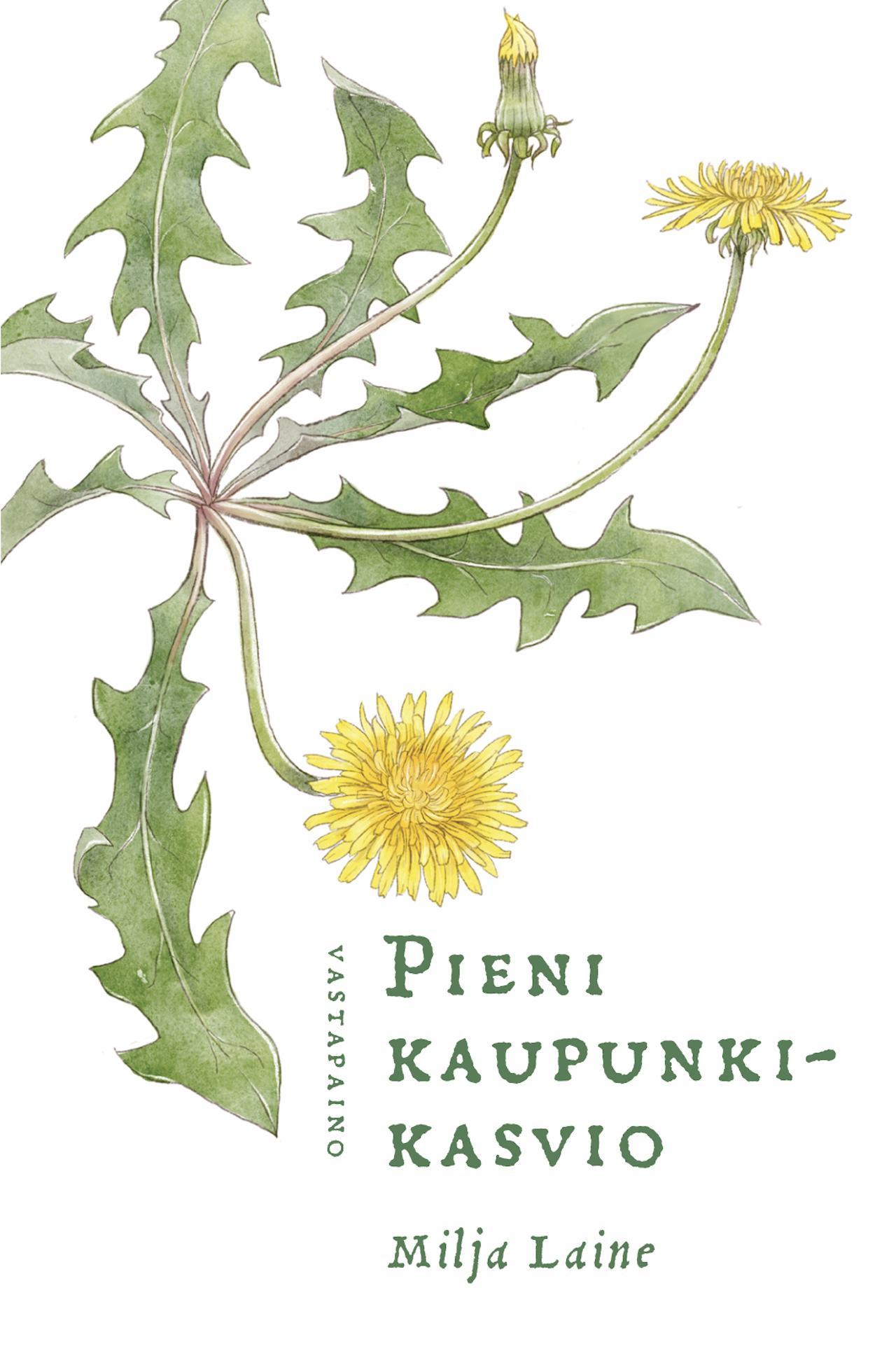 pieni kaupunkikasvio