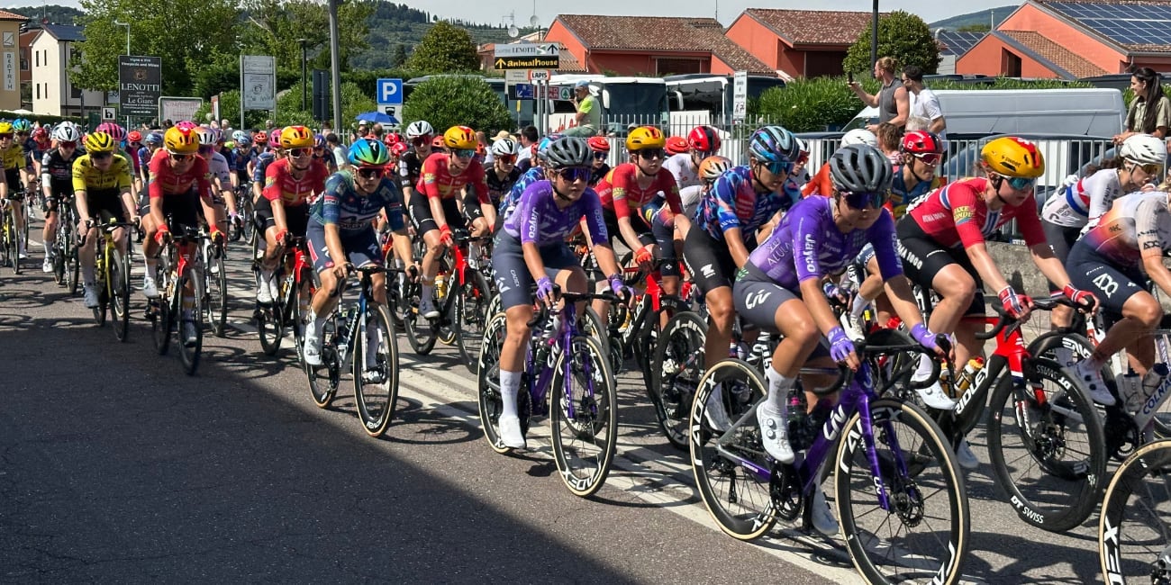 pjn peloton