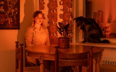 Sari Soininen tekee banaalista outoa – The Trees Are Not What They Seem -näyttely Turun Aboa Vetuksessa