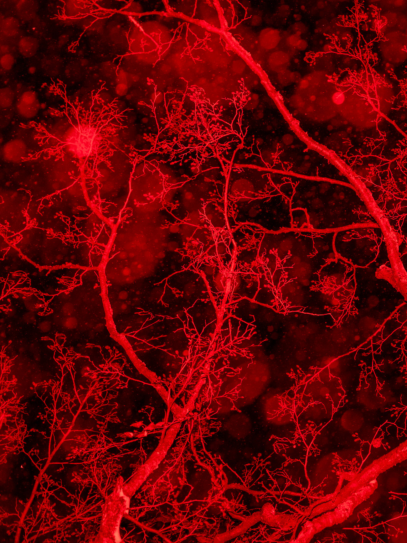 sari soininen vision 15 sarjasta shallow waters misty waves 2023 valokuva