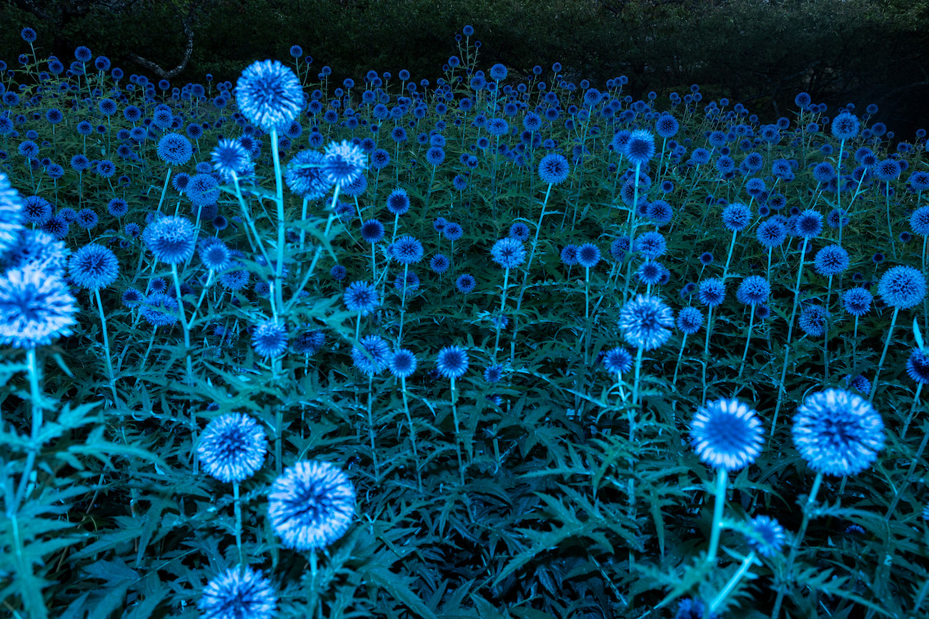 sari soininen vision 2 sarjasta shallow waters misty waves 2023 valokuv