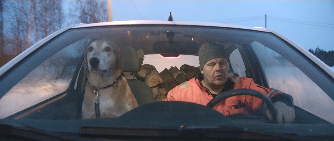 the beauty of errors jo ro tero c mouka filmi oy 2026