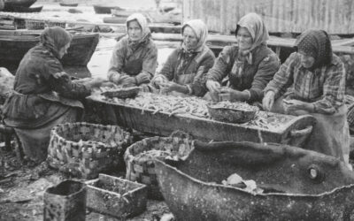 Itäsaaristossa elettiin paksusti ja vaarallisesti – ruokaa riitti mutta sen hankkimisessa saattoi kuolla