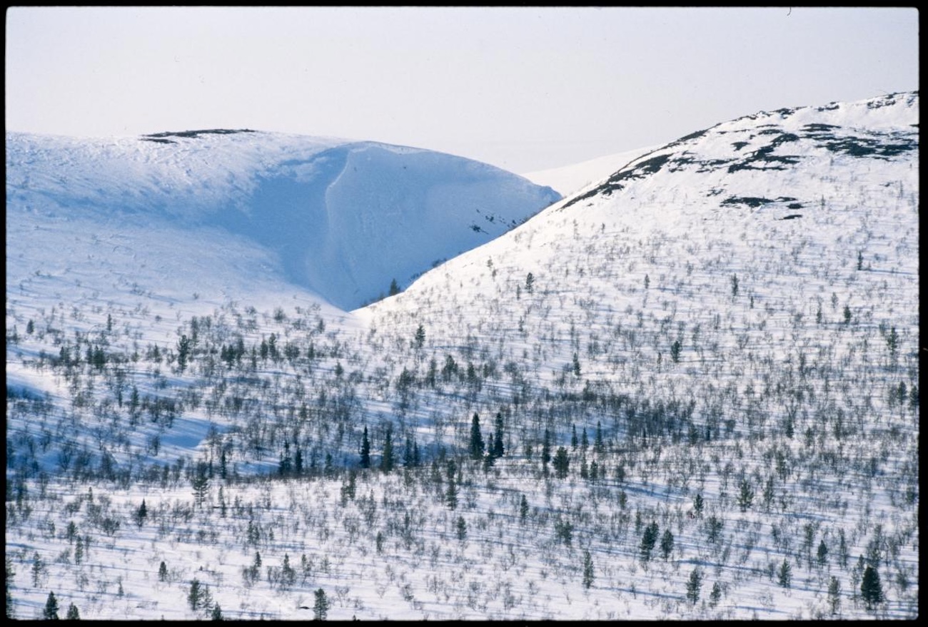 urho kekkosen kansallispuisto