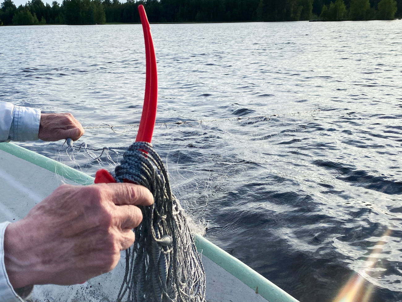 levoton tuhkimo by hanna maria gronlund kulttuuritoimitus INSTA levoton tuhkimo by hanna maria gronlund kulttuuritoimitus INSTA