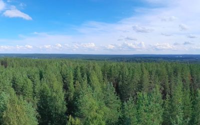 Parasta juuri nyt (26.8.2025): Tie 212, Raskelan -ja Kiviniementie, tie 3481, Himmaanmäen näköalatorni, Vennbahn