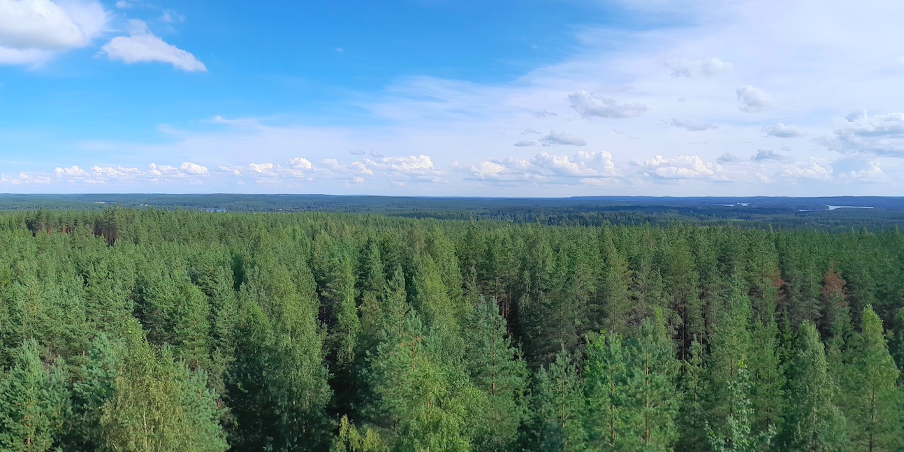 levoton tuhkimo by hanna maria gronlund kulttuuritoimitus INSTA